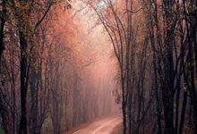 22／23賽季歐冠第3輪阿賈克斯1-6那不勒斯 那不勒斯逆轉大勝平衡進攻分配成致勝關鍵.