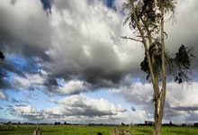 陈梦乒乓球特色学校特训营20天9000元,包括食、宿、训.