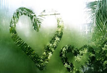 CBA：三连胜 北京控股男篮112-102深圳马可波罗男篮.