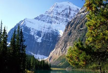 金年会jinnian平台：373名网球小将赛场竞逐 东莞市首届学生运动会网球比赛开赛.