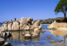 克雷桑赛后:大家都尽力想拿下3分,要把精力投入到接下来的比赛.